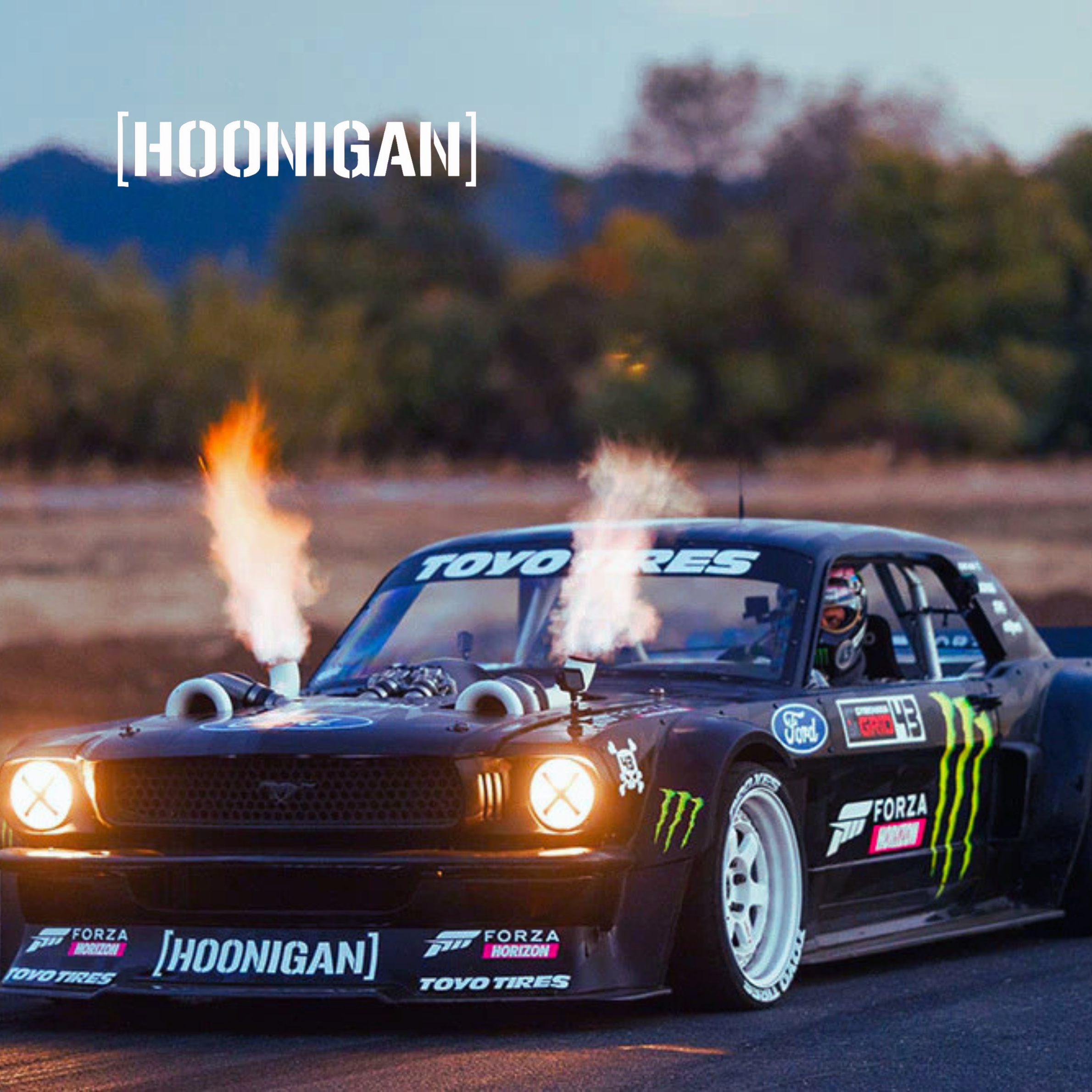 Hoonigan